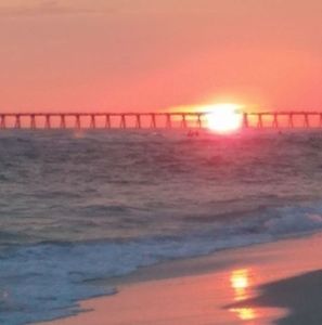 Meet your Posher, Sheila